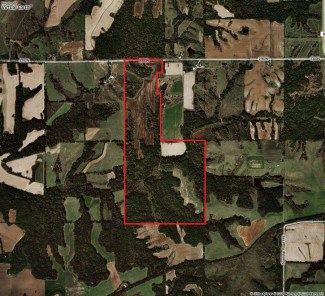 237 Acres Hunting Land For Sale In Pike County, Illinois #100302