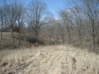 40 Acres Hunting Land For Sale In Fulton County, Illinois #100312