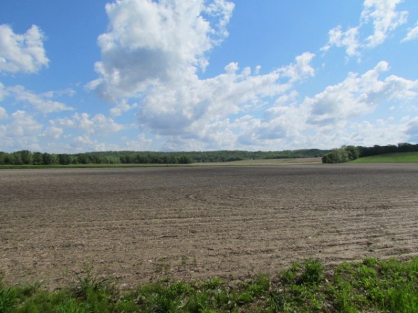 80 Acres Hunting Land For Sale In Pike County, Illinois