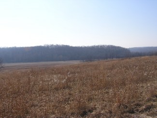 243.96 Acres Hunting Land For Sale In Pike County, Illinois