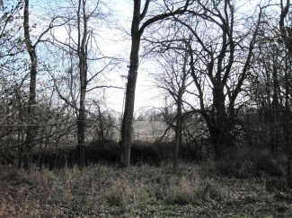 93 Acres Hunting Land For Sale In Pike County, Illinois