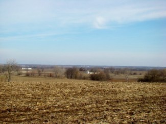 85 Acres Hunting Land For Sale In Pike County, Illinois #102405