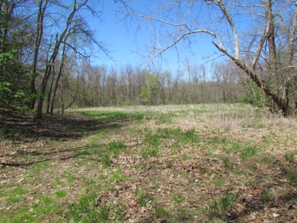 Western Pike County 43 Acres